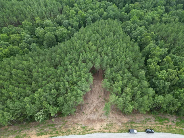 a view of a yard with large trees