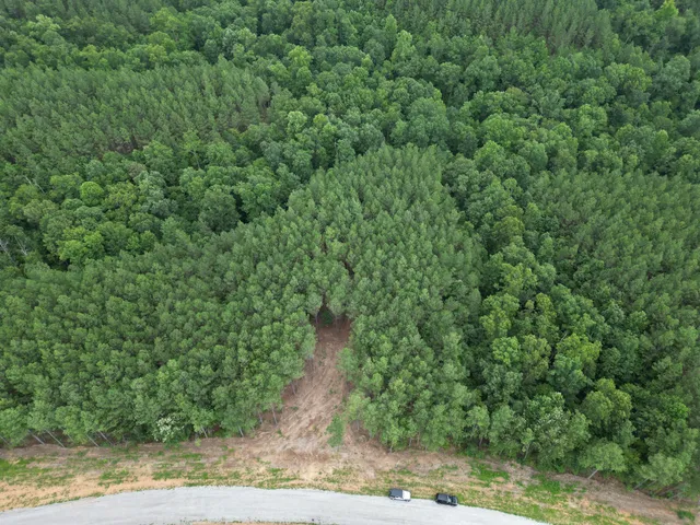a view of a yard with a tree