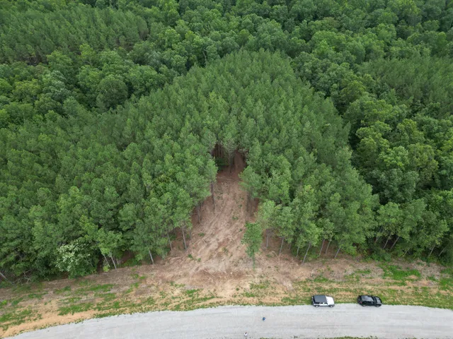 a view of a pathway both side of a yard