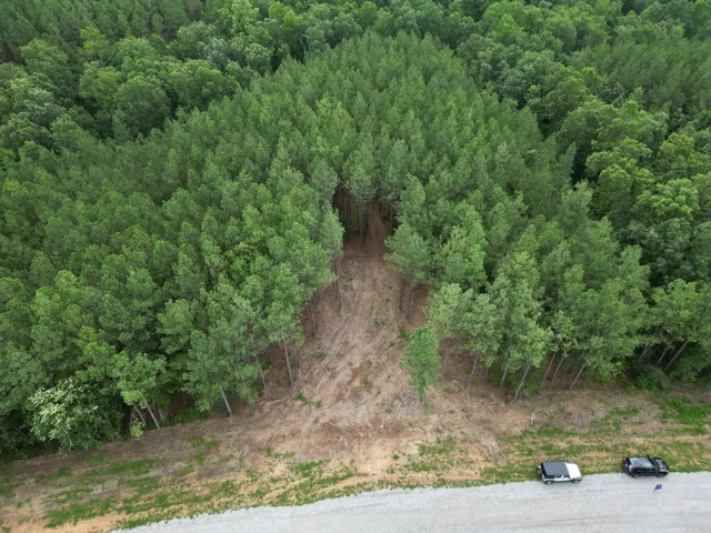 a view of a yard with plants and a small yard
