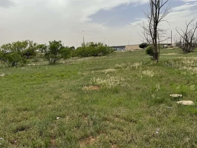 a view of a green field with lots of palm trees