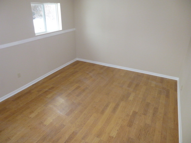 577 Redwood Road Bolingbrook, IL 60440 - Photo 19 of 20 an empty room with a window