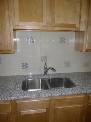 577 Redwood Road Bolingbrook, IL 60440 - Photo 8 of 20 a sink with granite top