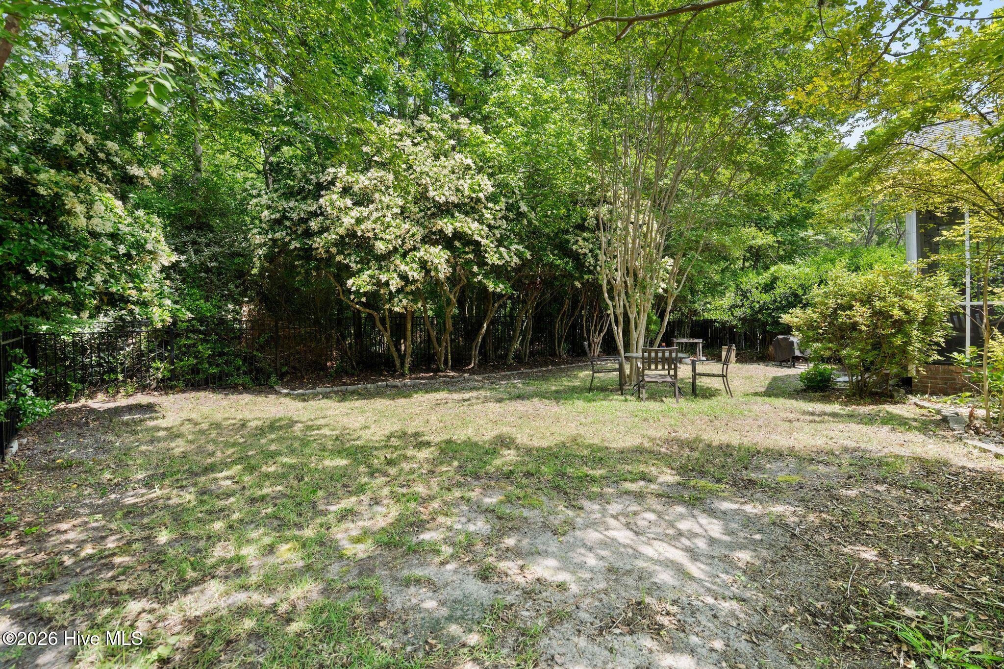 1128 Mill Run Road Sneads Ferry, NC 28460 - Photo 38 of 65 Backyard