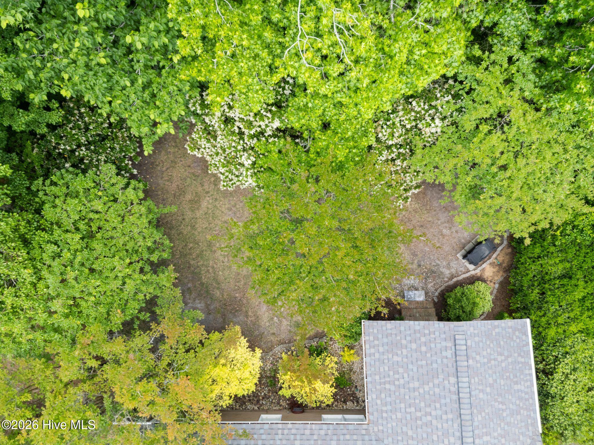 1128 Mill Run Road Sneads Ferry, NC 28460 - Photo 39 of 65 Birds Eye View