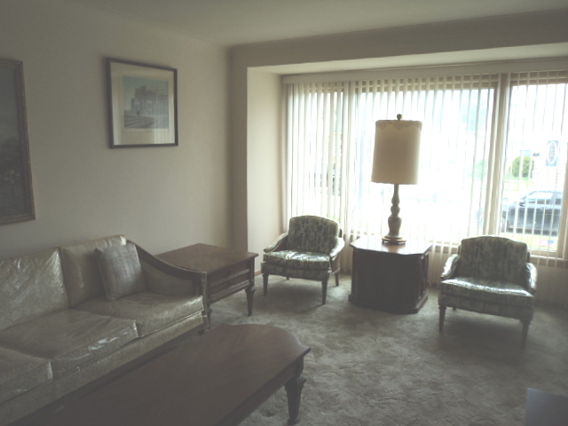 7341 56th Place Summit, IL 60501 - Photo 3 of 29 Gallery Image 3