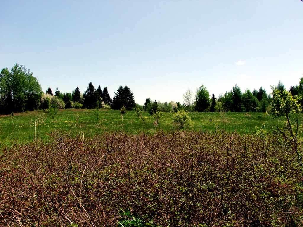 Lot 7 Fullerton Road Monticello, ME 04760 - Photo 6 of 16 fullerton-rd-land-acres-2