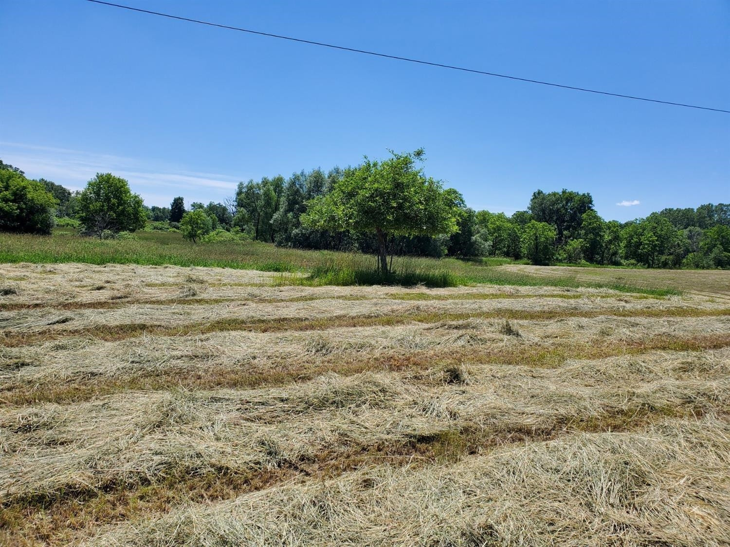 0 Dancer Road Dexter, MI 48130 - Photo 2 of 6 Photo 2
