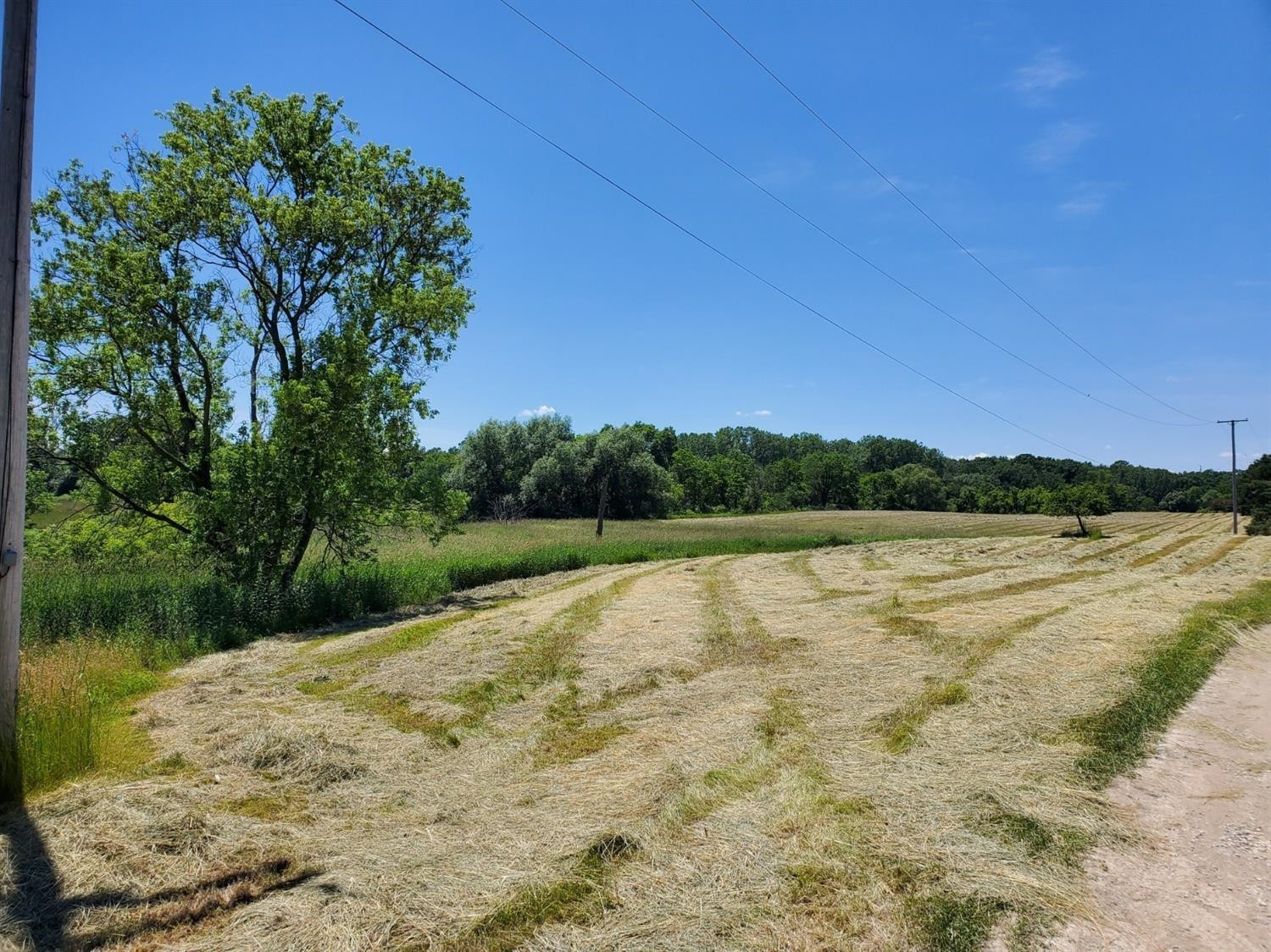 0 Dancer Road Dexter, MI 48130 - Photo 4 of 6 Photo 4