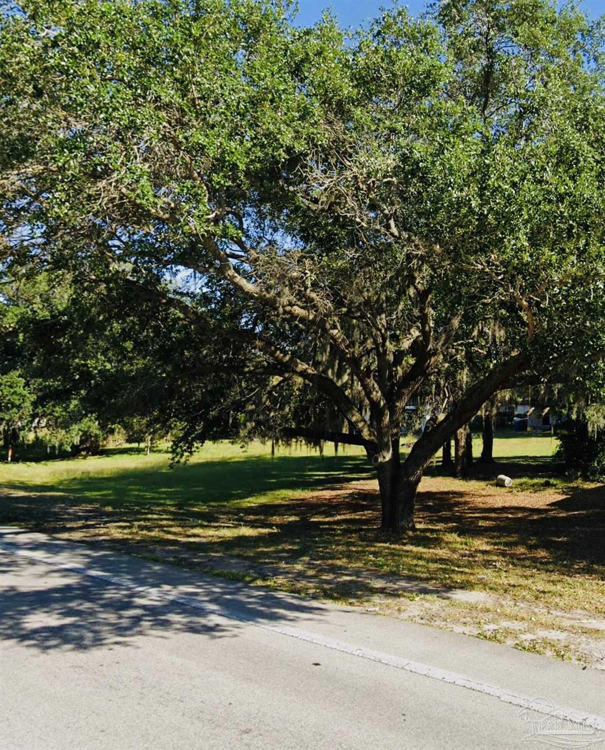 0 Polk Road Haines City, FL 33844 - Photo 3 of 5