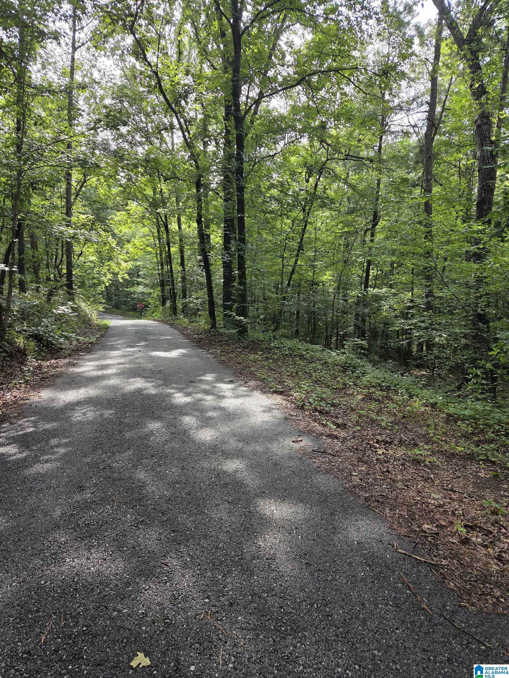 45 Coosa View Lane Riverside, AL 35135 - Photo 8 of 9