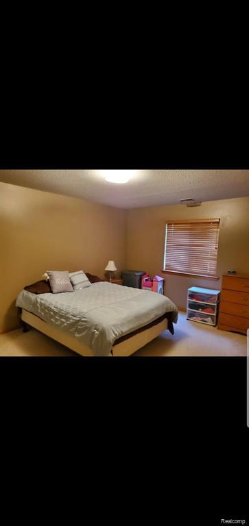 45749 Prairiegrass Court, Unit 4 Belleville, MI 48111 - Photo 16 of 22