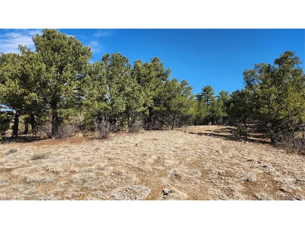 $29,500 | I Path, Cotopaxi, CO 81223