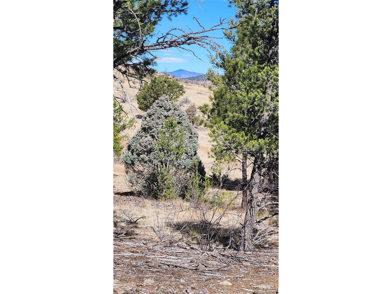 I Path Cotopaxi, CO 81223 - Photo 13 of 30 a picture of a yard