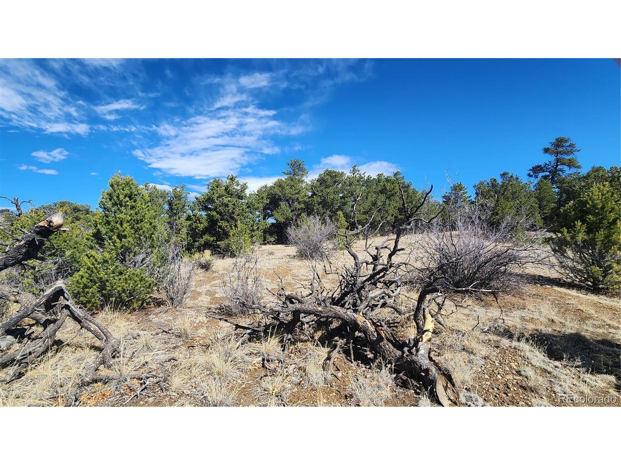 I Path Cotopaxi, CO 81223 - Photo 20 of 30 a open area with a yard