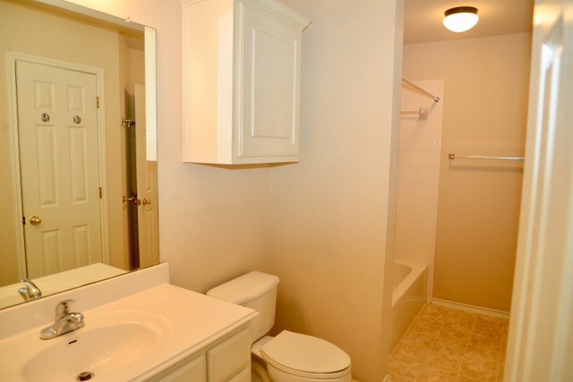 138 Chestnut Court Georgetown, TX 78633 - Photo 24 of 25 A well-lit guest bathroom offers a vanity, toilet, and a combination shower/tub.