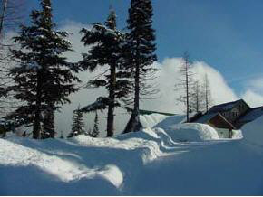 0 Mogul Hill Road Sandpoint, ID 83864 - Photo 4 of 9