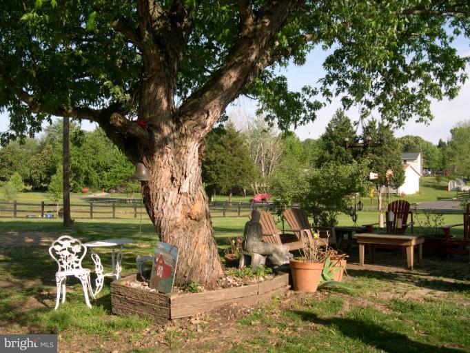 39 Colebrook Road Fredericksburg, VA 22405 - Photo 9 of 22 Relax Under Shade Tree
