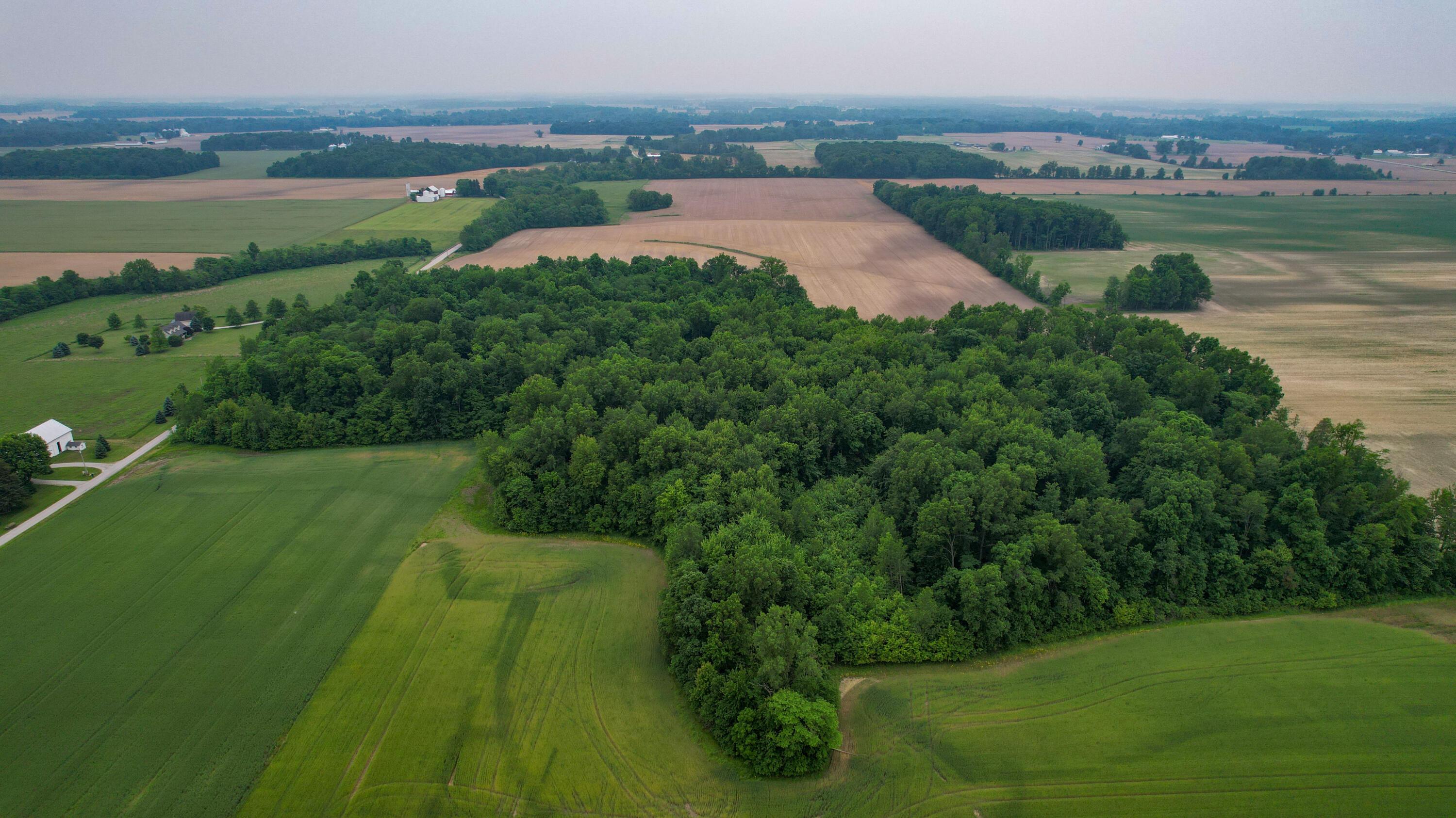 0 Mautz-Yeager Road Marion, OH 43302 - Photo 6 of 17 DJI_0010