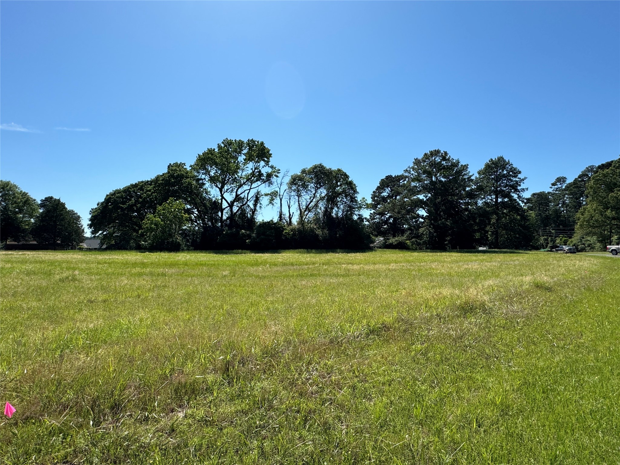 5 Cherry Hill Trinity, TX 75862 - Photo 4 of 6