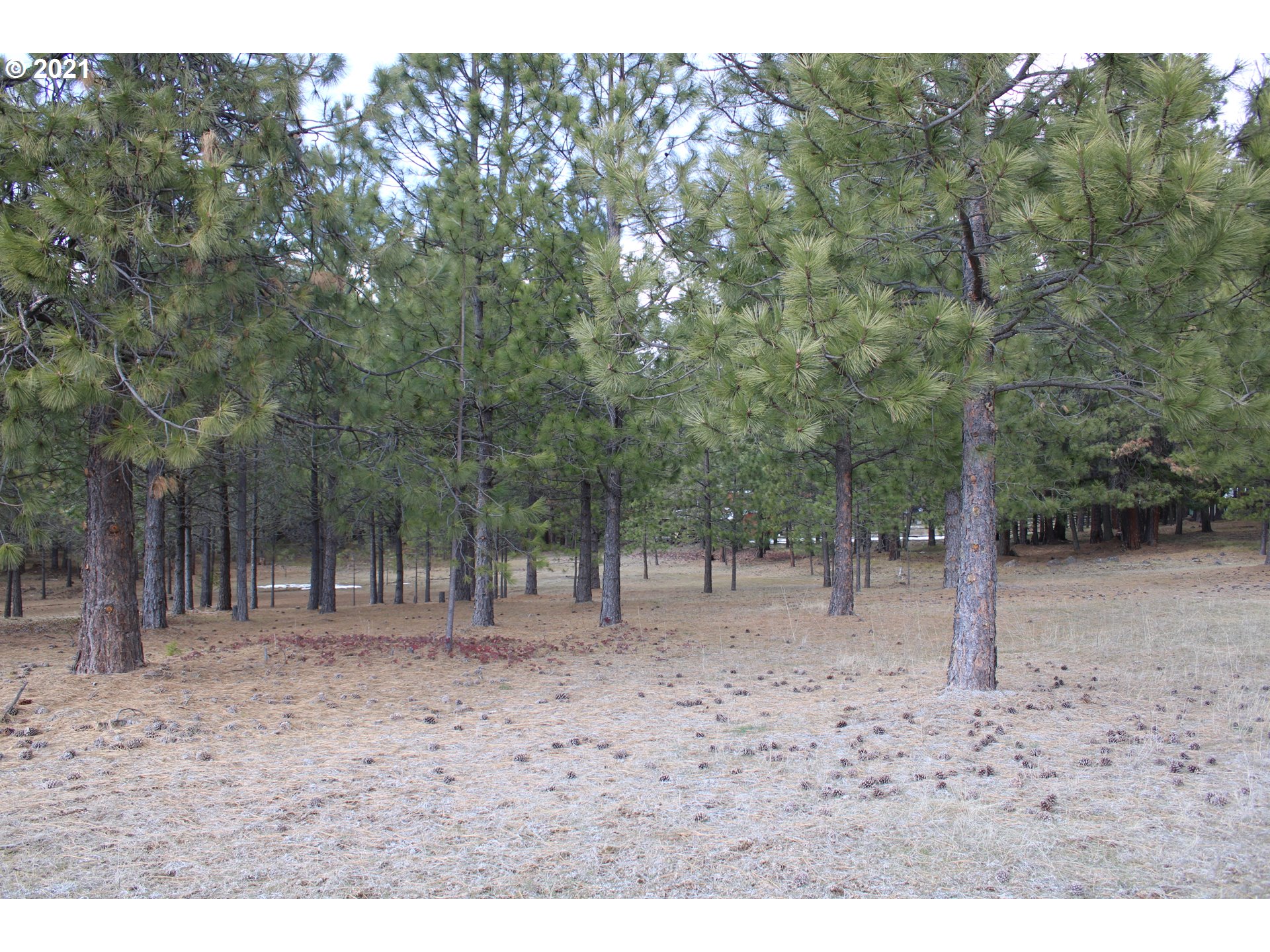 Meech Road, Unit 4 Goldendale, WA 98620 - Photo 3 of 5 Gallery Image 3
