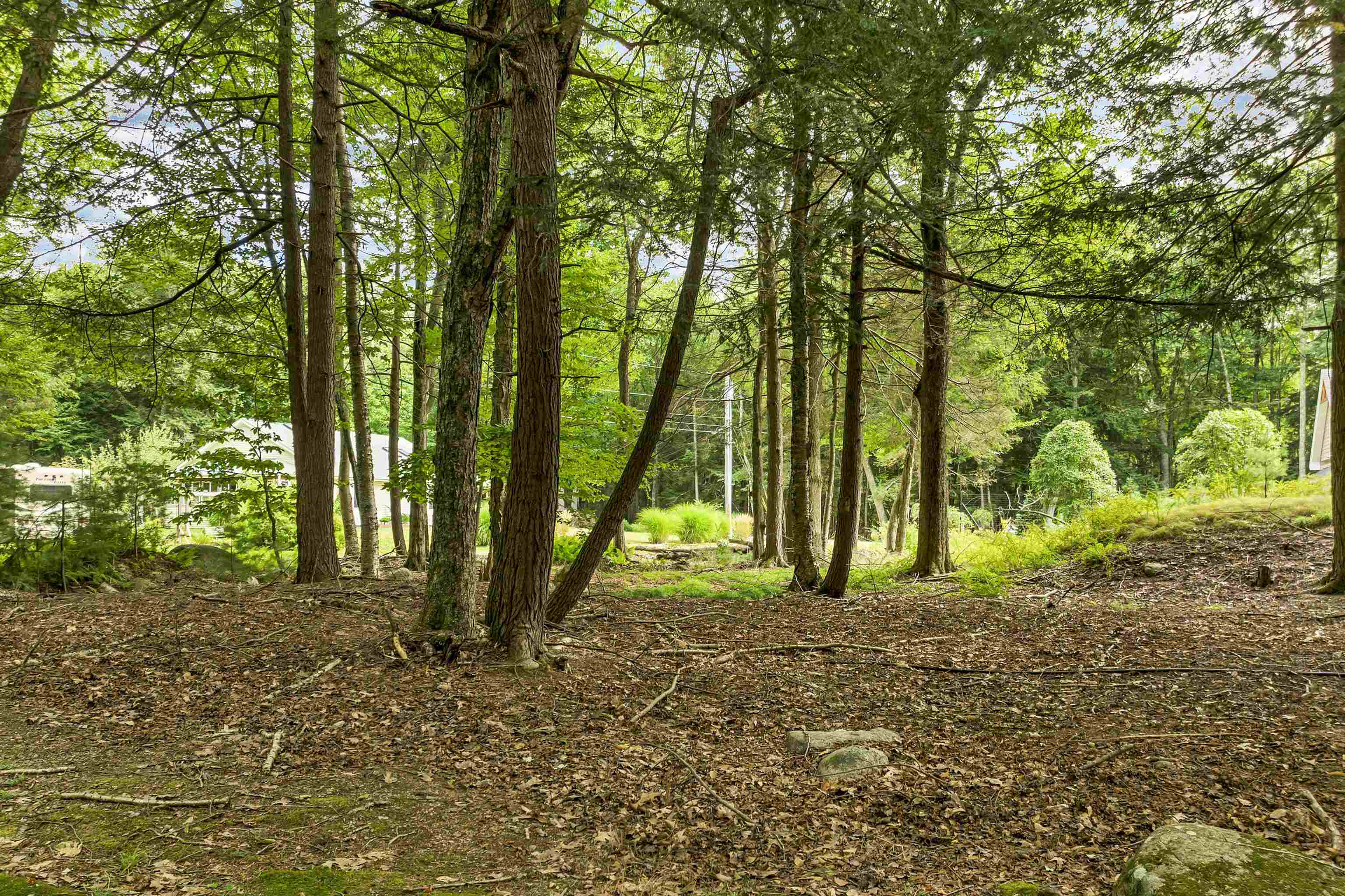 47 Pot O Beans Road Moultonborough, NH 03254 - Photo 34 of 51