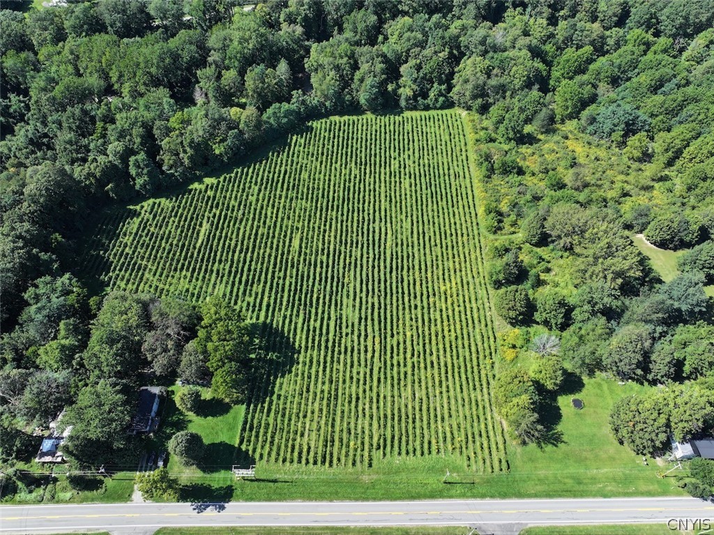 Bennett State Road Forestville, NY 14062 - Photo 3 of 18 Gallery Image 3