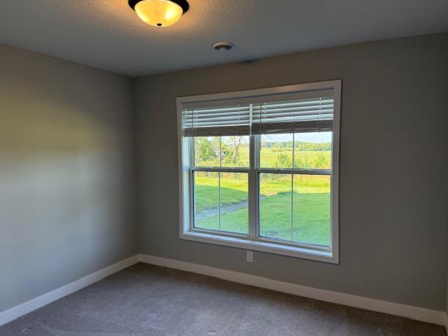 18928 73rd Avenue North Maple Grove, MN 55311 - Photo 6 of 17