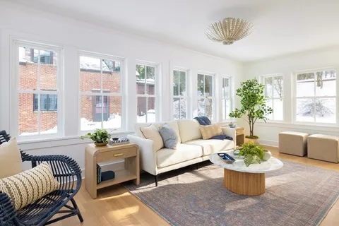 a living room with furniture and a potted plant