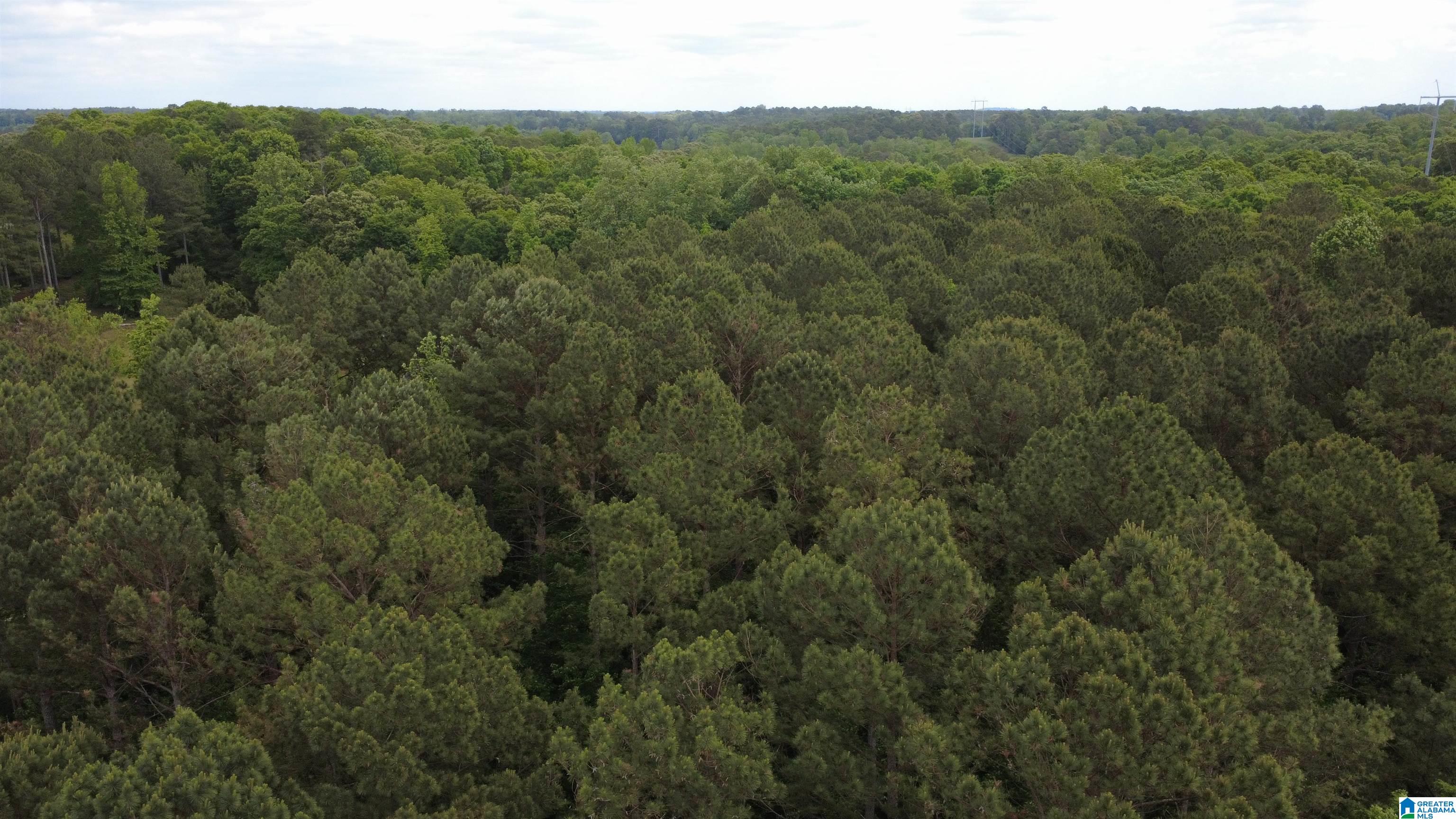 Unkn Highland Road, Unit 9 1 ACRES Lineville, AL 36266 - Photo 2 of 6