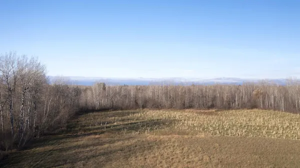 $70,000 | 11680 County 59 Road, Orr, MN 55771