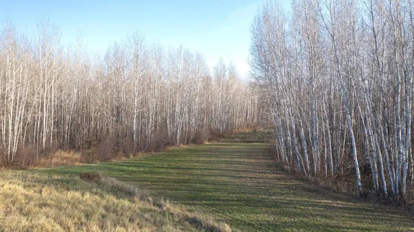 $70,000 | 11680 County 59 Road, Orr, MN 55771