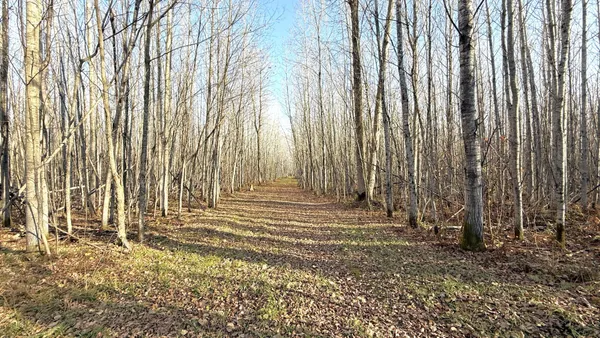 $70,000 | 11680 County 59 Road, Orr, MN 55771