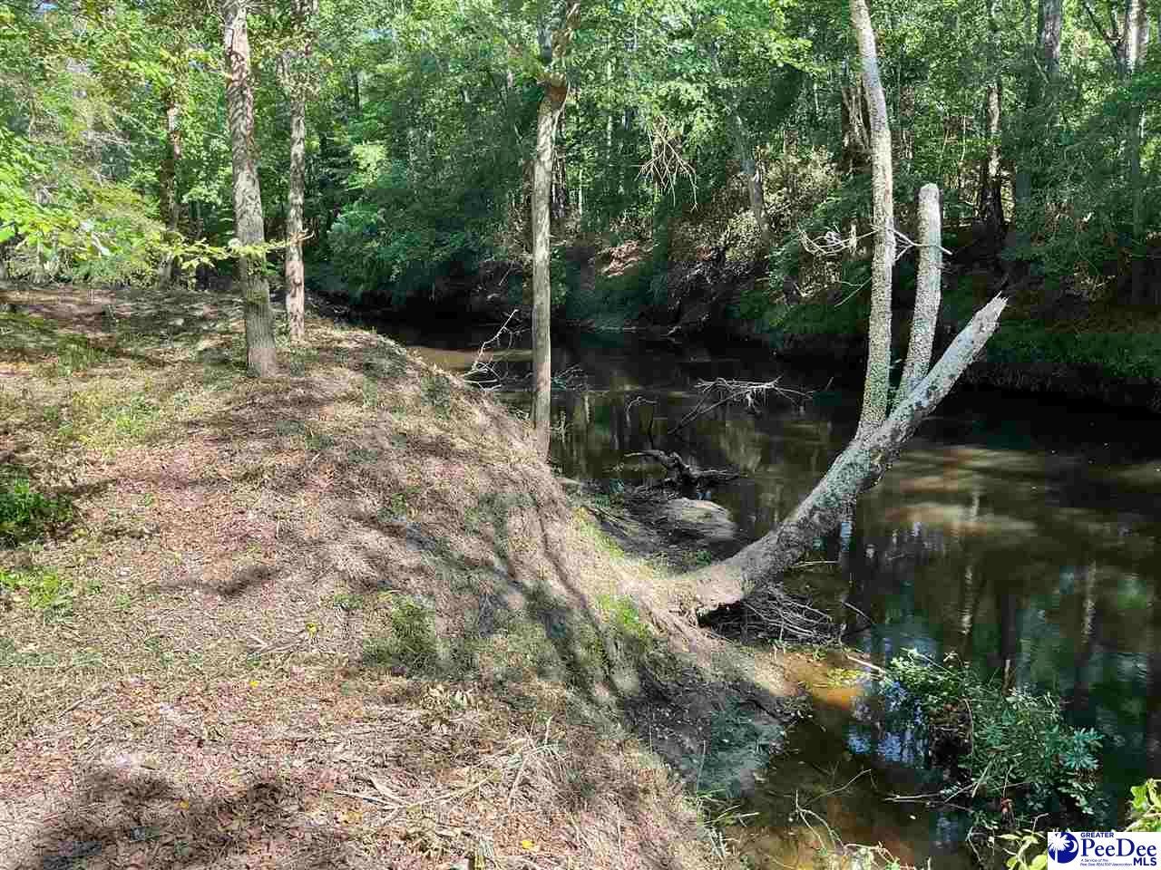 18-19 Point View Drive Florence, SC 29501 - Photo 3 of 5 Gallery Image 3