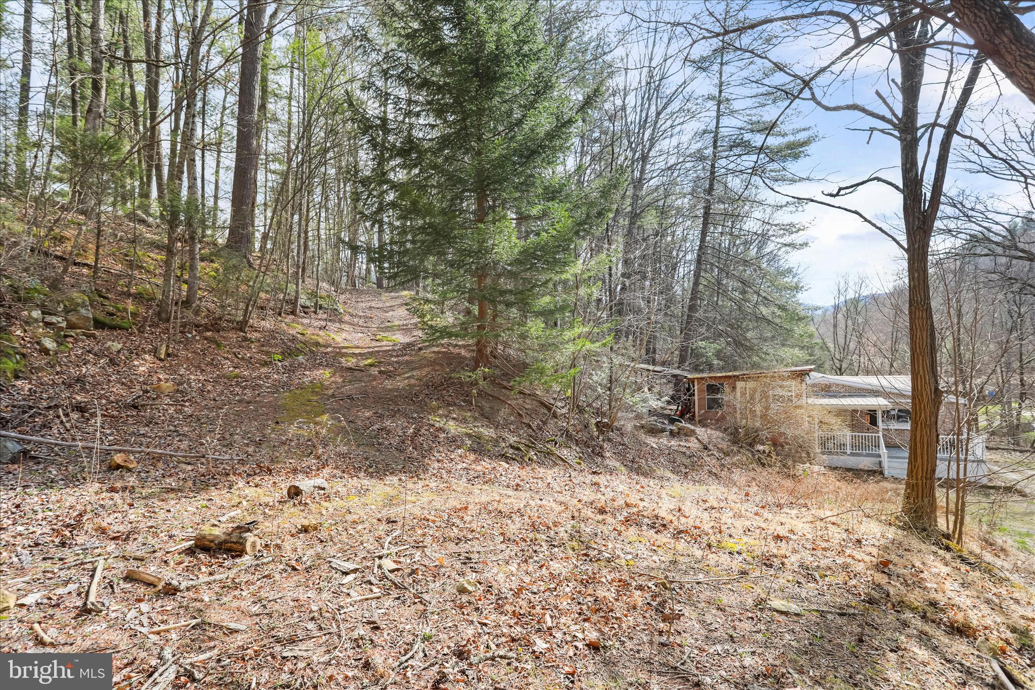 3699 Waites Run Road Wardensville, WV 26851 - Photo 22 of 43 3.8 Acres