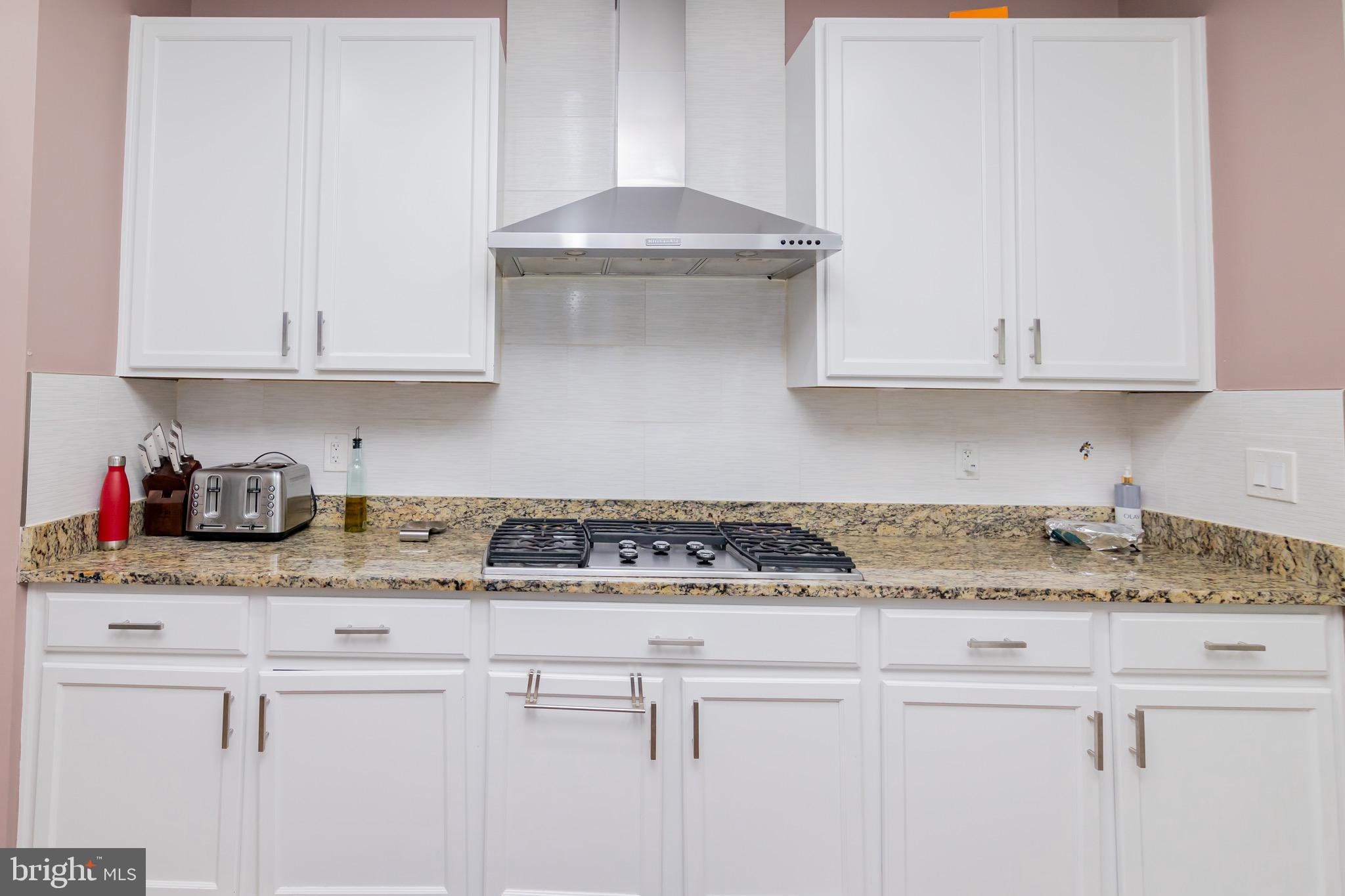 23556 Christina Ridge Square Ashburn, VA 20148 - Photo 55 of 63 Gallery Image 55