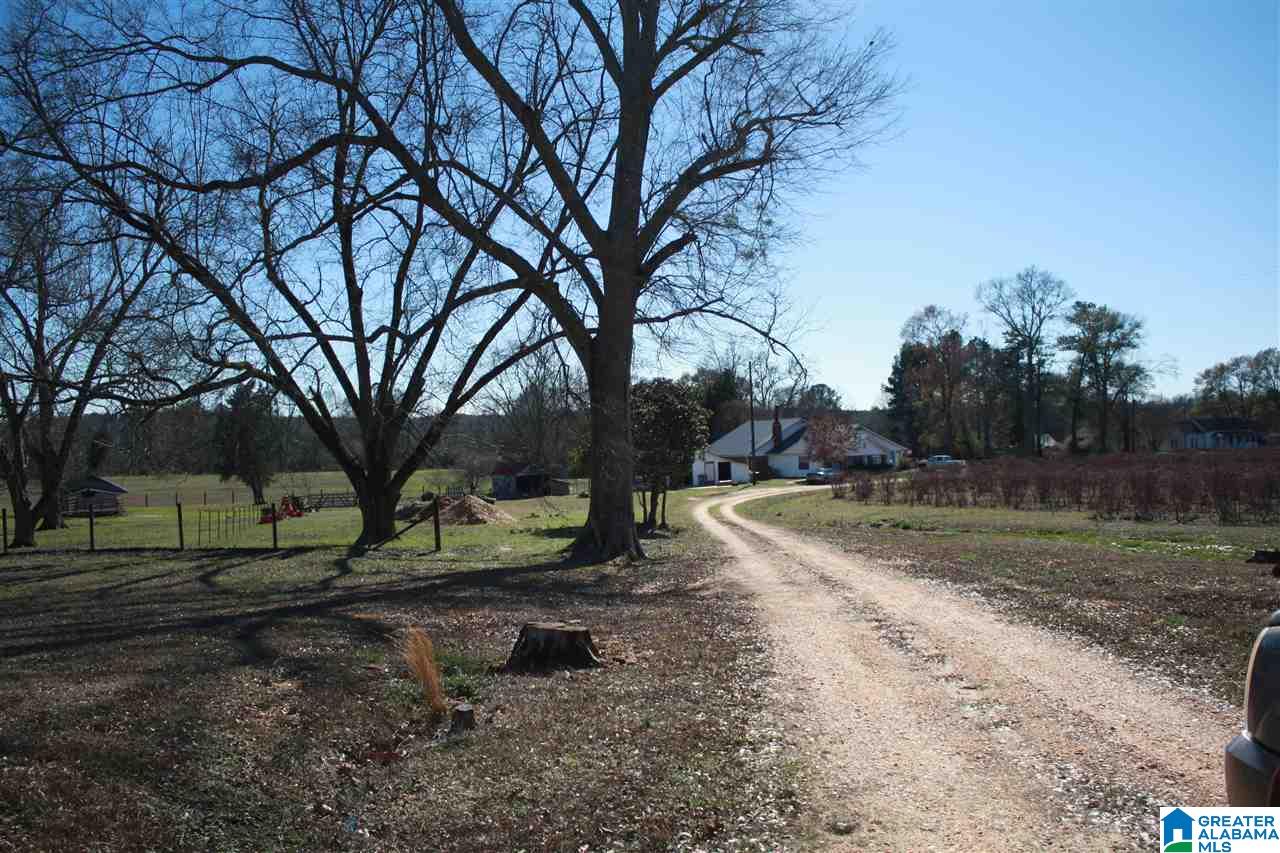 9502 County Road 15 Clanton, AL 35045 - Photo 23 of 34