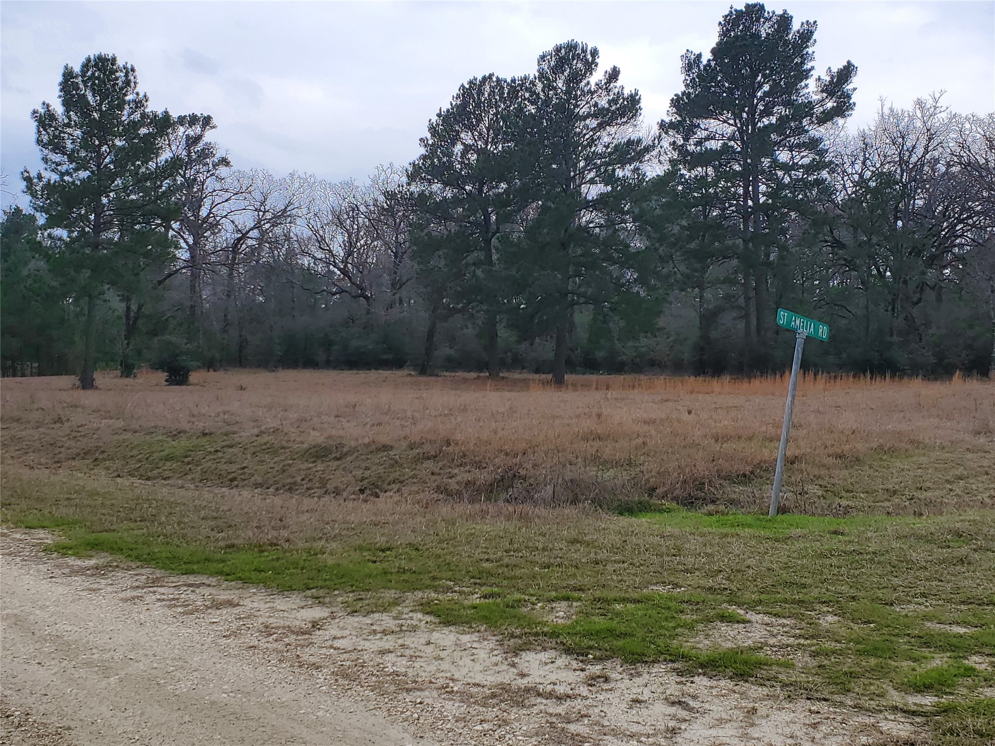 Lot 1-2 Oakley Road Trinity, TX 75862 - Photo 14 of 23 Gallery Image 14