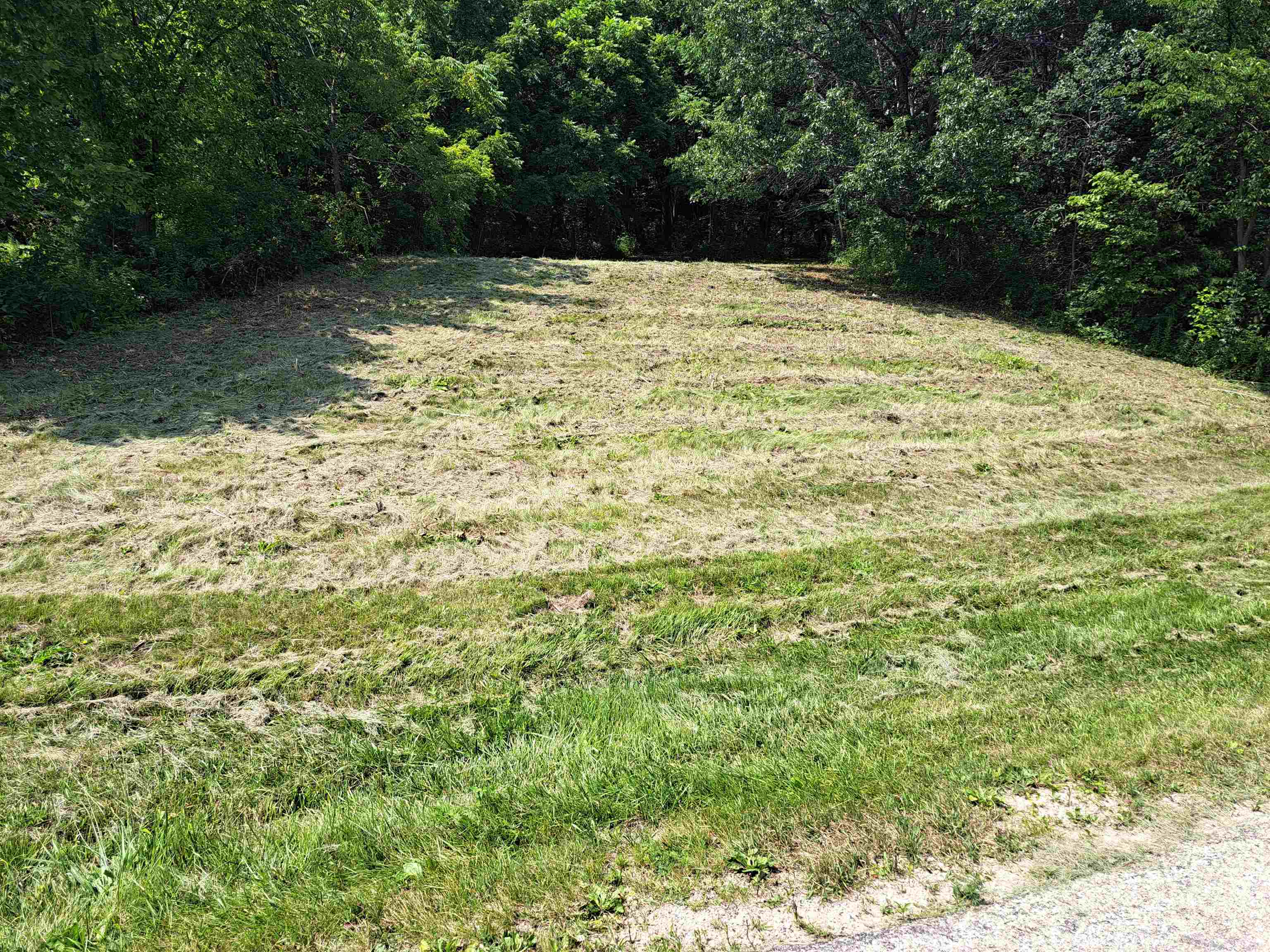 12 Saddleback Road Galena, IL 61036 - Photo 7 of 14 a backyard of a house