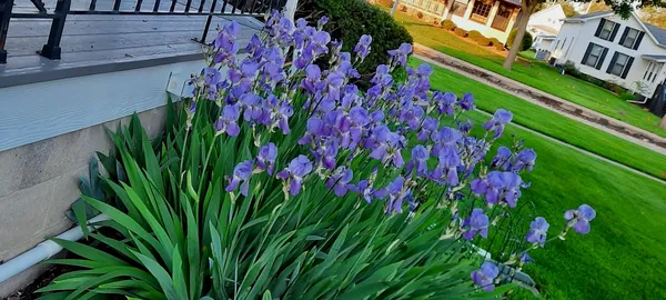 $349,000 | 1221 6th Avenue, De Witt, IA 52742