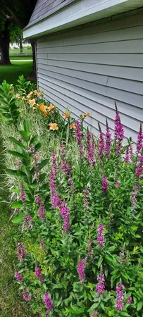 $349,000 | 1221 6th Avenue, De Witt, IA 52742