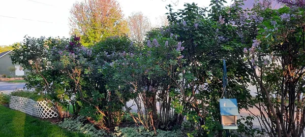 $349,000 | 1221 6th Avenue, De Witt, IA 52742