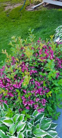 $349,000 | 1221 6th Avenue, De Witt, IA 52742