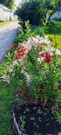 $349,000 | 1221 6th Avenue, De Witt, IA 52742