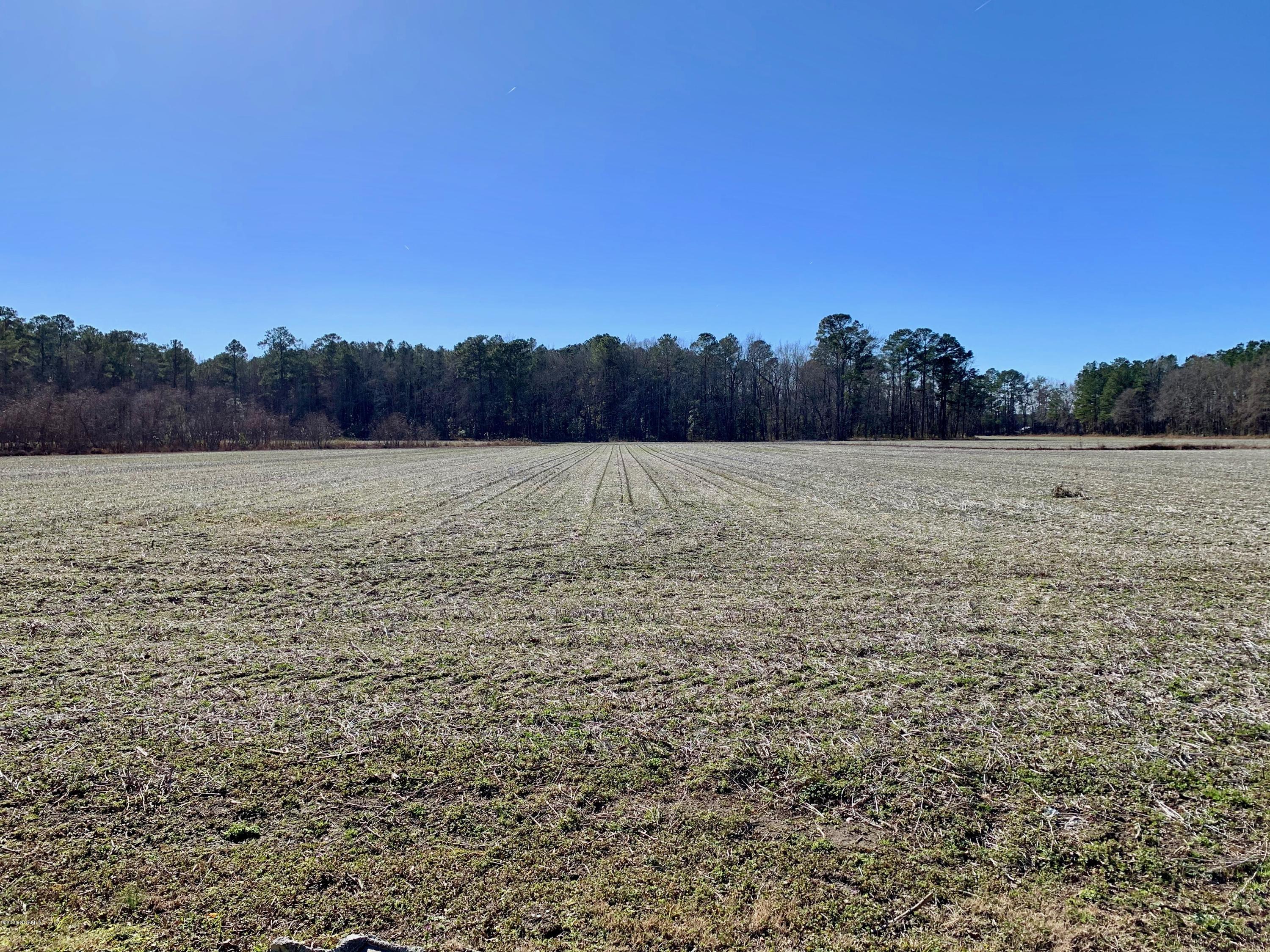 1190 Hills Neck Road Ernul, NC 28527 - Photo 5 of 28 Surrounding Farmland