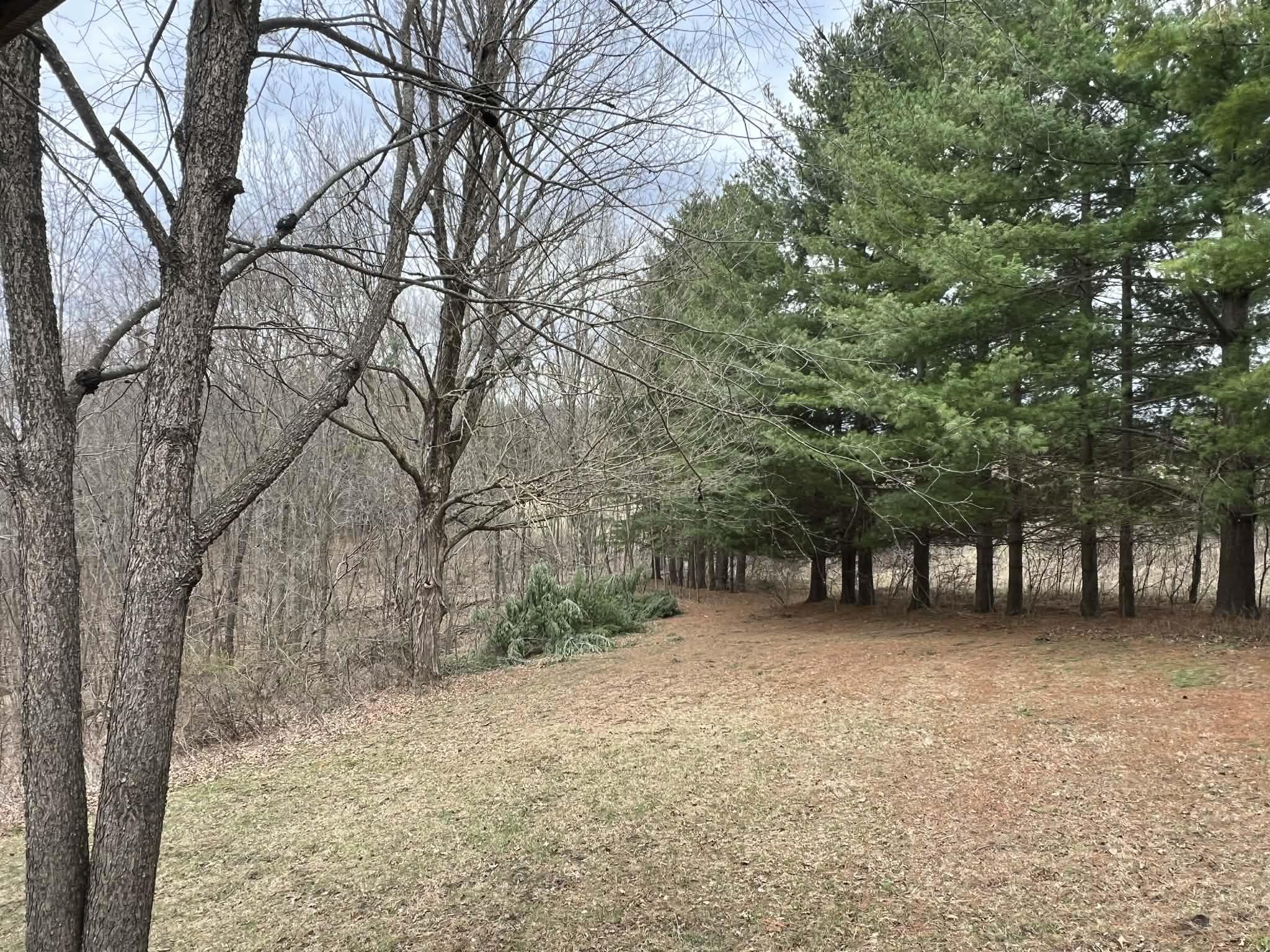 S7460 Song Bird Lane Readstown, WI 54652 - Photo 21 of 53