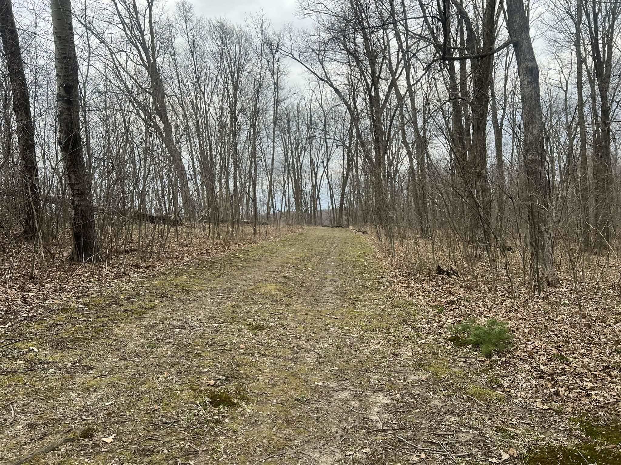 S7460 Song Bird Lane Readstown, WI 54652 - Photo 24 of 53