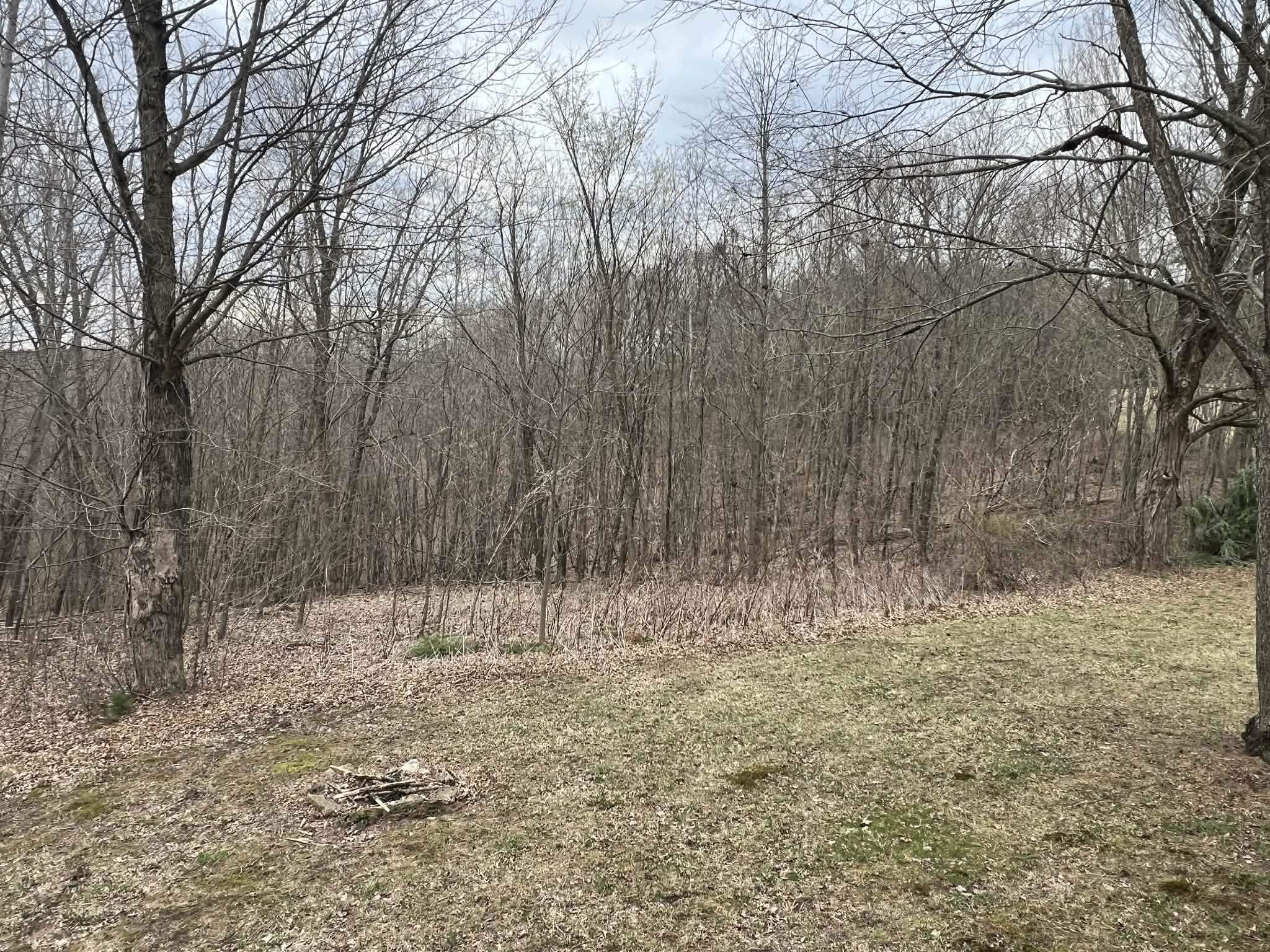 S7460 Song Bird Lane Readstown, WI 54652 - Photo 26 of 53