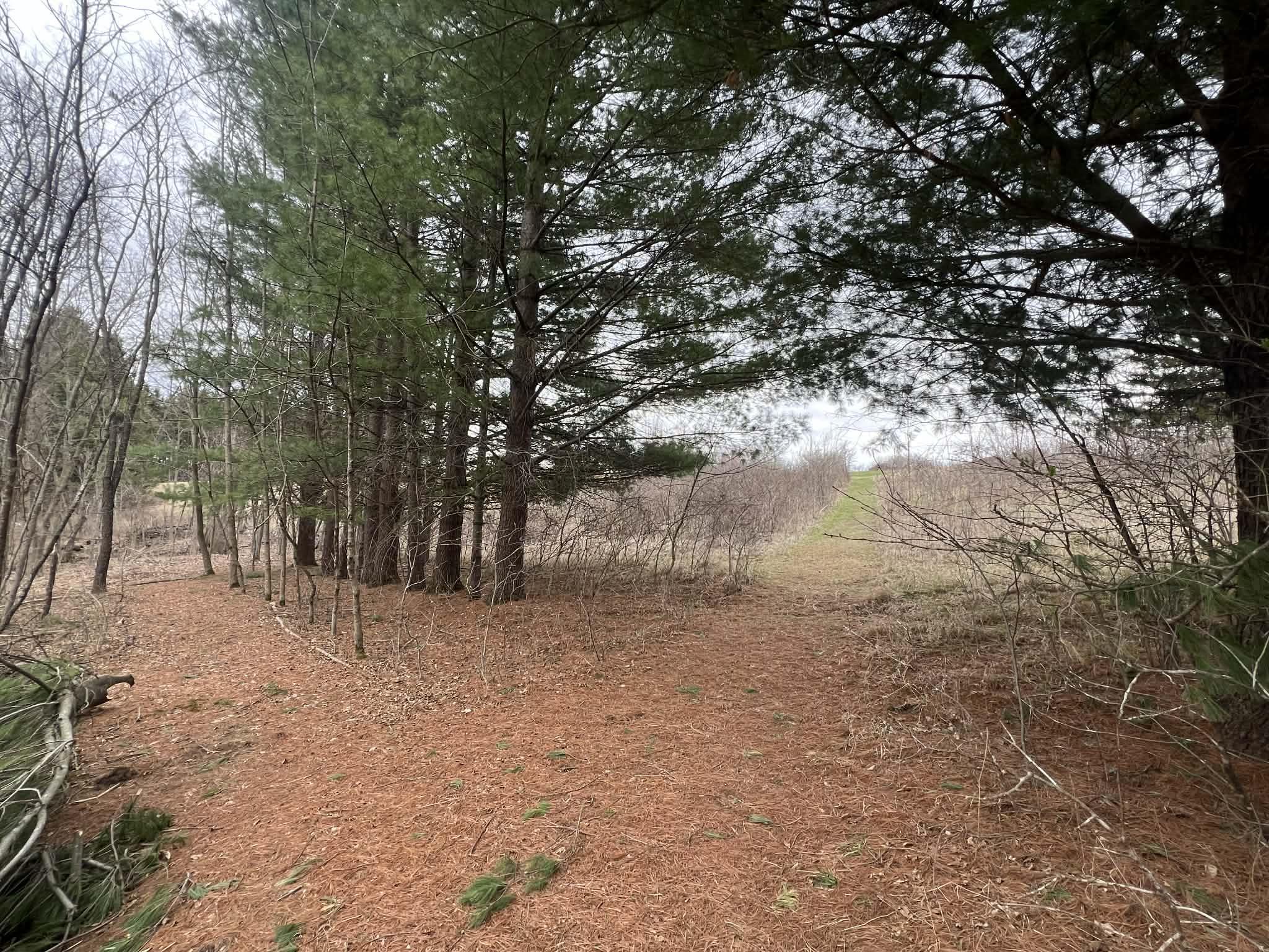 S7460 Song Bird Lane Readstown, WI 54652 - Photo 27 of 53