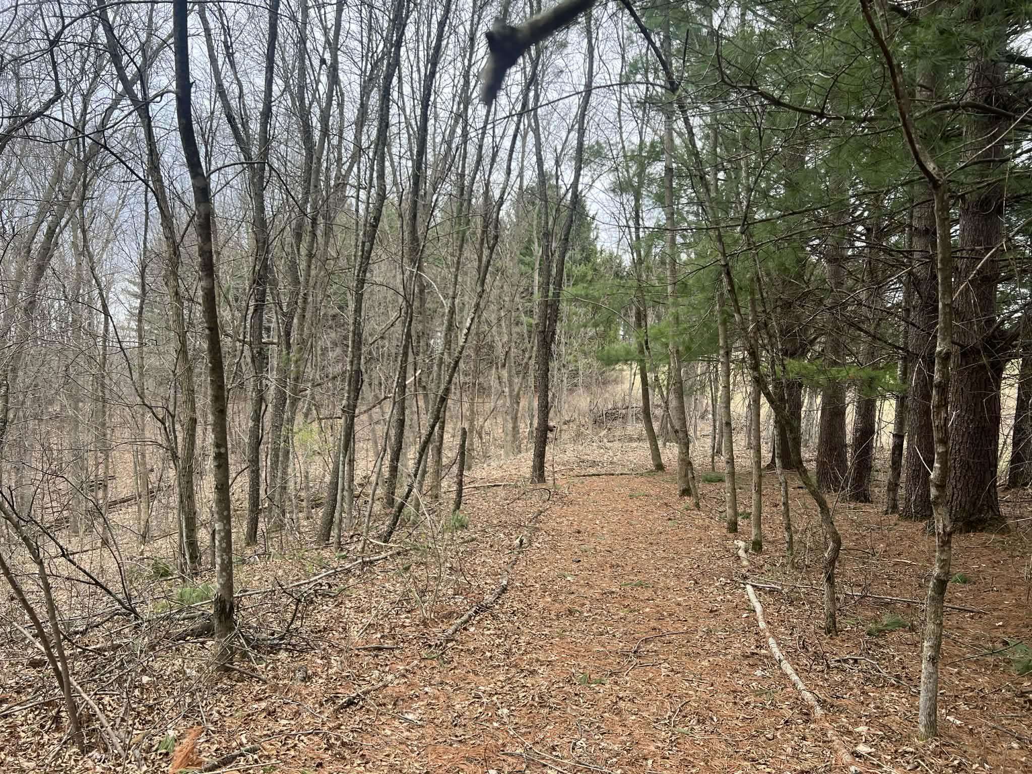 S7460 Song Bird Lane Readstown, WI 54652 - Photo 28 of 53